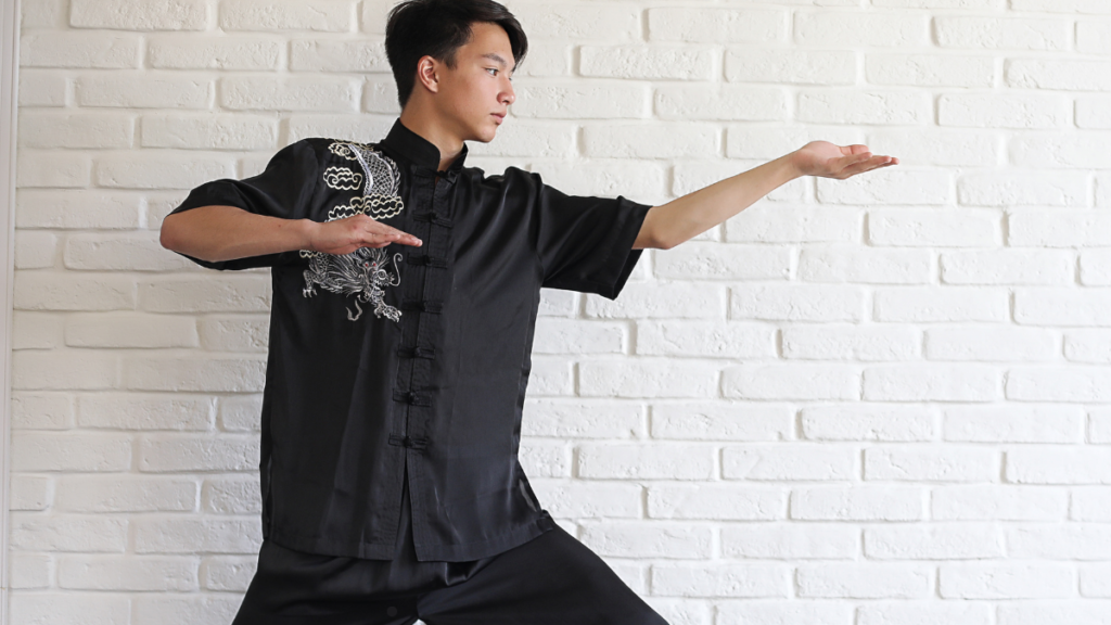 Pontos de pressão no Kung Fu: mito ou técnica real?